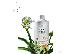 PoulaTo: LR - Aloe Vera Drinking Gel Μέλι